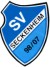 SV 98/07 Seckenheim e.V.